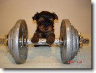 V pond�l� m�m prvn� tr�nink...
