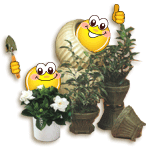 V�ce smajl�k� ke sta�en�