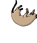 V�ce smajl�k� ke sta�en�